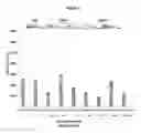 Fig. 09 - HBV polymerase mutants