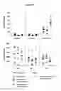 Fig. 15 - HBV polymerase mutants