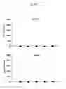 Fig. 18 - HBV polymerase mutants