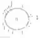 Fig. 23 - NPP1 FUSION PROTEINS