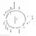 Fig. 26 - NPP1 FUSION PROTEINS