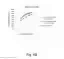 Fig. 06 - Polypeptides having xylanase activity and polynucleotides encoding same