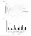 Fig. 19 - PROCESSING BIOMASS