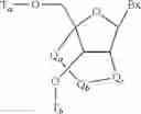 Fig. 11 - Bicyclic carbocyclic nucleosides and oligomeric compounds prepared therefrom