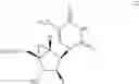 Fig. 42 - Bicyclic carbocyclic nucleosides and oligomeric compounds prepared therefrom