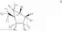 Fig. 51 - Bicyclic carbocyclic nucleosides and oligomeric compounds prepared therefrom