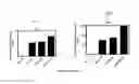 Fig. 09 - METHODS AND COMPOSITIONS FOR THE TREATMENT OF CANCER