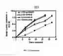 Fig. 22 - METHODS AND COMPOSITIONS FOR THE TREATMENT OF CANCER