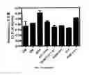 Fig. 33 - METHODS AND COMPOSITIONS FOR THE TREATMENT OF CANCER