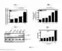 Fig. 71 - METHODS AND COMPOSITIONS FOR THE TREATMENT OF CANCER
