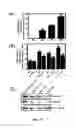 Fig. 72 - METHODS AND COMPOSITIONS FOR THE TREATMENT OF CANCER