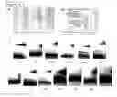 Fig. 09 - Lin28/let-7 crystal structures, purification protocols, and molecular probes suitable for screening assays and therapeutics