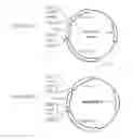 Fig. 03 - Methods and compositions for suppressing NBB1 expression