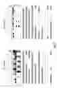Fig. 07 - Viral Vectors for Gene Editing