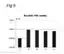Fig. 05 - Vectors with modified initiation codon for the translation of AAV-REP78 useful for production of AAV