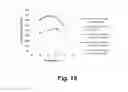 Fig. 19 - Compositions for saccharification of cellulosic material