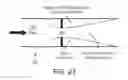 Fig. 11 - Processes for extracting carbohydrates from biomass and converting the carbohydrates into biofuels