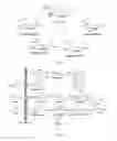 Fig. 02 - Cell-based production of nonulosonates