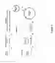 Fig. 02 - Method for Production of Single-Stranded Macronucleotides