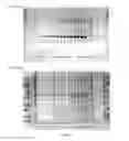 Fig. 16 - PROTEIN PRODUCTION IN MICROORGANISMS OF THE PHYLUM LABYRINTHULOMYCOTA