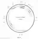 Fig. 17 - PROTEIN PRODUCTION IN MICROORGANISMS OF THE PHYLUM LABYRINTHULOMYCOTA