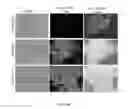 Fig. 29 - PROTEIN PRODUCTION IN MICROORGANISMS OF THE PHYLUM LABYRINTHULOMYCOTA