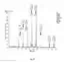 Fig. 31 - PROTEIN PRODUCTION IN MICROORGANISMS OF THE PHYLUM LABYRINTHULOMYCOTA