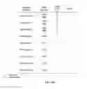 Fig. 39 - PROTEIN PRODUCTION IN MICROORGANISMS OF THE PHYLUM LABYRINTHULOMYCOTA