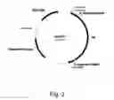 Fig. 03 - Methods for producing polypeptides in enzyme-deficient mutants of 