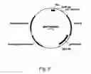 Fig. 10 - Methods for producing polypeptides in enzyme-deficient mutants of 