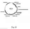 Fig. 24 - Methods for producing polypeptides in enzyme-deficient mutants of 