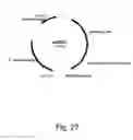 Fig. 28 - Methods for producing polypeptides in enzyme-deficient mutants of 