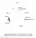 Fig. 03 - Methods for producing recombinant glycoproteins with modified glycosylation