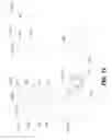 Fig. 14 - SPECIMEN TRANSFER APPARATUS AND METHOD