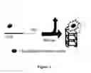 Fig. 02 - METHOD OF DETECTING HELICASE ACTIVITY
