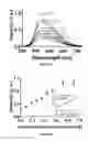 Fig. 05 - METHOD OF DETECTING HELICASE ACTIVITY
