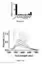 Fig. 06 - METHOD OF DETECTING HELICASE ACTIVITY