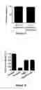 Fig. 08 - METHOD OF DETECTING HELICASE ACTIVITY