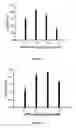 Fig. 15 - METHOD OF DETECTING HELICASE ACTIVITY