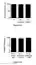 Fig. 17 - METHOD OF DETECTING HELICASE ACTIVITY