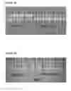 Fig. 03 - Matrices and media for storage and stabilization of biomolecules