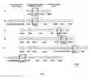 Fig. 02 - Selective detection of 