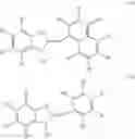 Fig. 11 - Fluorescent labeled single-stranded nucleic acid and use thereof