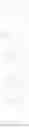 Fig. 12 - Fluorescent labeled single-stranded nucleic acid and use thereof