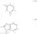 Fig. 13 - Fluorescent labeled single-stranded nucleic acid and use thereof