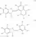 Fig. 22 - Fluorescent labeled single-stranded nucleic acid and use thereof