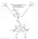 Fig. 11 - Protected dye-labeled reagents