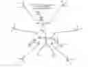 Fig. 15 - Protected dye-labeled reagents