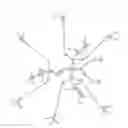 Fig. 16 - Protected dye-labeled reagents