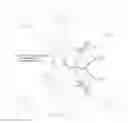 Fig. 17 - Protected dye-labeled reagents